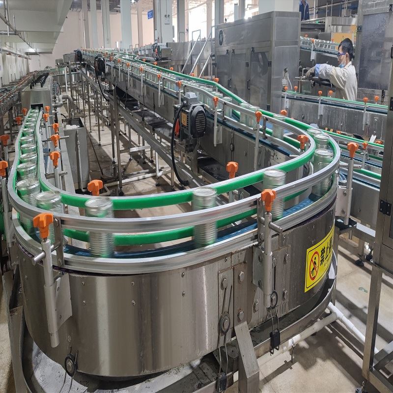 山東柔性鏈輸送線