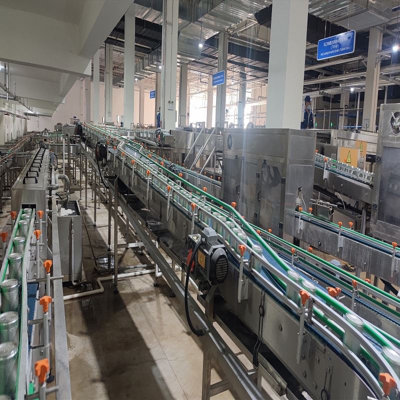 柔性鏈輸送線展示